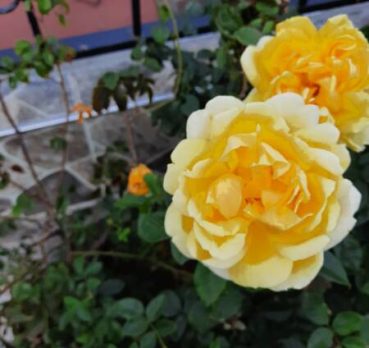 Гуля, 55 лет, Аланья, Турция