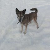 Александр, 58 лет, Волоколамск, Россия
