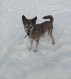 Александр, 58 лет, Мужчина, Волоколамск, Россия
