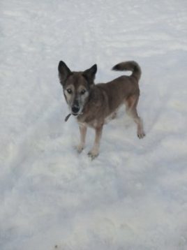 Александр, 57 years old, Волоколамск, Россия