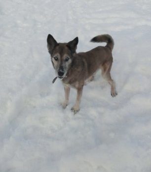 Александр, 58 лет, Волоколамск, Россия