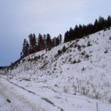 Yyy, 29 лет, Иркутск, Россия