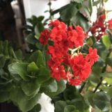 Залия, 26 лет, Кумертау, Россия