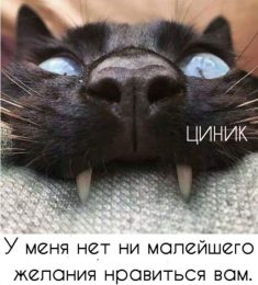 Валерия, 34 лет, Женщина, Москва, Россия