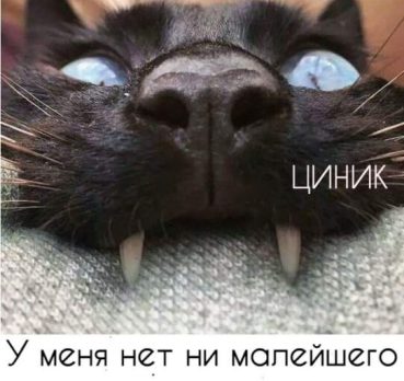 Валерия, 34 лет, Москва, Россия