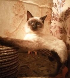 Сергей, 43 лет, Мужчина, Санкт-Петербург, Россия