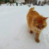 Вета, 22 лет, Томск, Россия