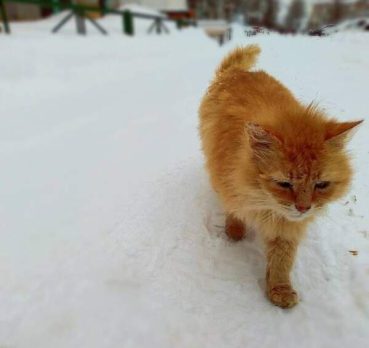 Вета, 22 лет, Томск, Россия