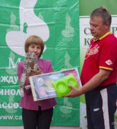 Илья, 45 лет, Мужчина, Москва, Россия