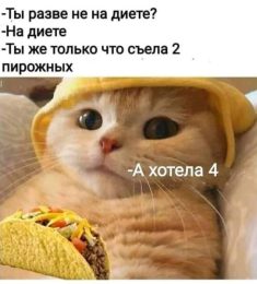Daria, 22 лет, Женщина, Кишинёв, Молдова