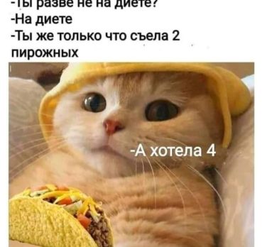 Daria, 22 лет, Кишинёв, Молдова