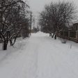 1615583453730.jpg