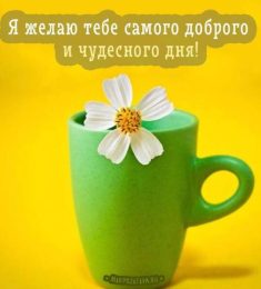Алёна, 31 лет, Женщина, Биробиджан, Россия