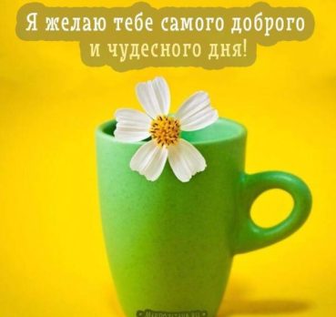Алёна, 31 лет, Биробиджан, Россия