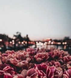 Маша, 26 лет, Женщина, Москва, Россия