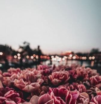 Маша, 26 лет, Москва, Россия