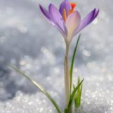 Наталья, 46 лет, Михайловск, Россия