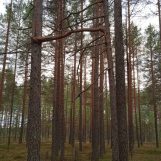 Maria, 42 лет, Великий Новгород, Россия