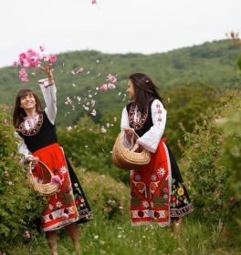 Ольга, 34 лет, Женщина, Москва, Россия