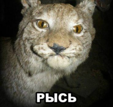 Руслан, 33 лет, Волгоград, Россия