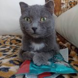 Анастасия, 26 лет, Барнаул, Россия