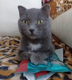 Анастасия, 26 лет, Женщина, Барнаул, Россия