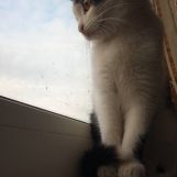 Карина, 19 лет, Касли, Россия