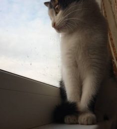 Карина, 19 лет, Женщина, Касли, Россия