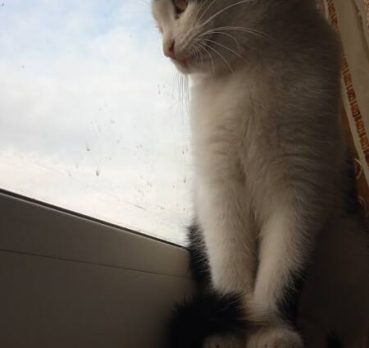 Карина, 19 лет, Касли, Россия