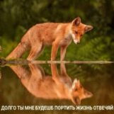 Алёна, 30 лет, Иркутск, Россия