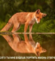 Алёна, 30 лет, Женщина, Иркутск, Россия