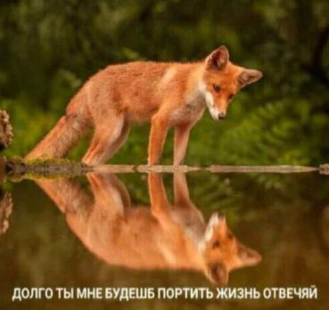 Алёна, 30 лет, Иркутск, Россия