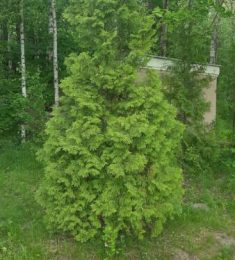 Александр, 41 лет, Мужчина, Минск, Беларусь