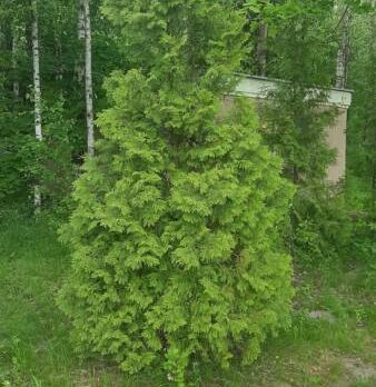 Александр, 41 лет, Минск, Беларусь