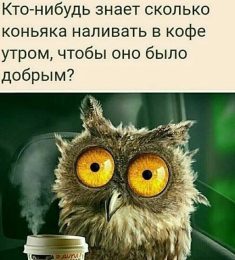 Анастасия, 45 лет, Женщина, Кемерово, Россия