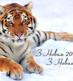Андрей, 50 лет, Мужчина, Тернополь, Украина
