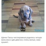Галина, 40 лет, Запорожье, Украина