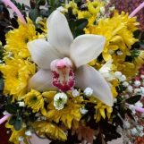 Мила, 59 лет, Одесса, Украина