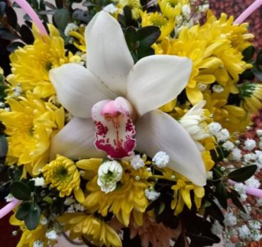Мила, 59 лет, Одесса, Украина
