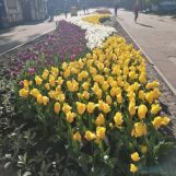 Таня, 24 лет, Винница, Украина
