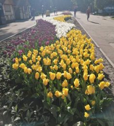 Таня, 24 лет, Женщина, Винница, Украина