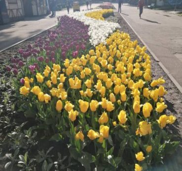 Таня, 24 лет, Винница, Украина