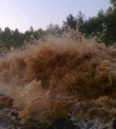 Діма, 35 лет, Мужчина, Сарны, Украина
