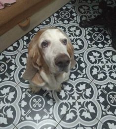 BRUNO, 38 лет, Мужчина, Одесса, Украина
