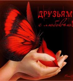 Мария, 45 лет, Женщина, Новомосковск, Украина