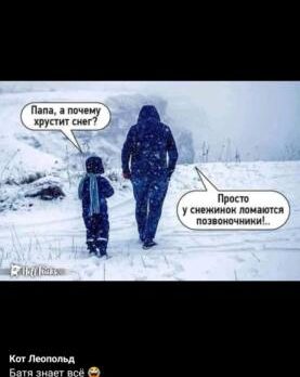 Андрей, 41 лет, Запорожье, Украина