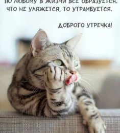 Юлия, 45 лет, Женщина, Ванино, Россия