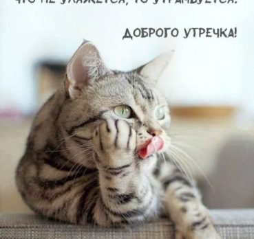 Юлия, 45 лет, Ванино, Россия