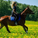 Alina, 33 лет, Екатеринбург, Россия