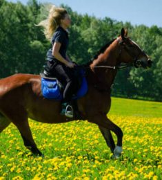 Alina, 33 лет, Женщина, Екатеринбург, Россия